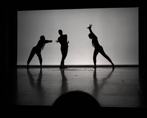  1ο DANCESCHOOL WAYS FESTIVAL