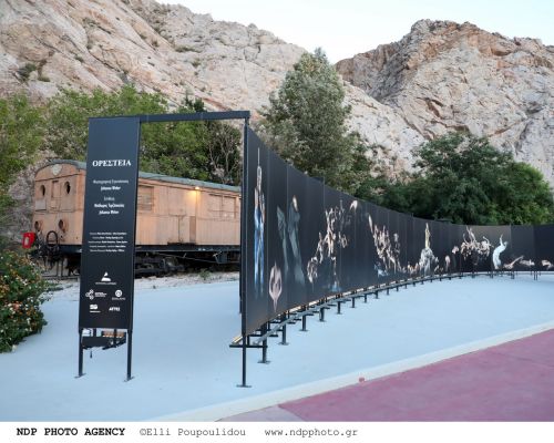 Το Φεστιβάλ στη Σκιά των Βράχων πραγματοποίησε το βράδυ της 10ης Ιουνίου τιμητική εκδήλωση για τον κορυφαίο σκηνοθέτη και δάσκαλο Θεόδωρο Τερζόπουλο.
